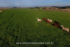 OS ARAGANOS   HERANÇAS 1984.00_01_47_14.Quadro009_5547da9b60fe2684323bc250c3c2a67ce067c407.jpg